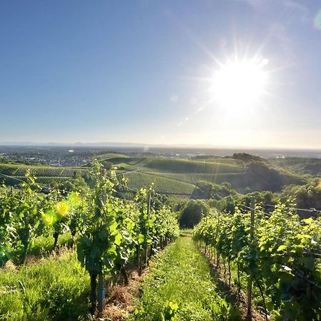Ferienwohnungen Weingut Pieper Basler Offenburg Eksteriør billede